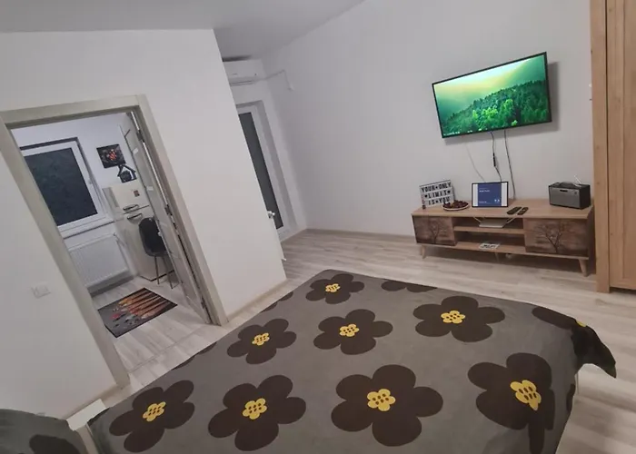 Siriului Apartamento Bucarest